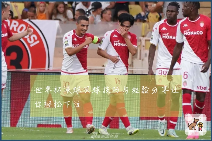 世界杯滚球买球技巧与经验分享让你轻松下注