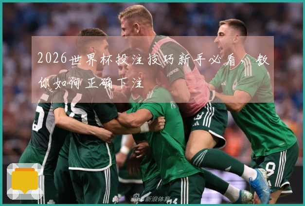 2026世界杯投注技巧新手必看，教你如何正确下注