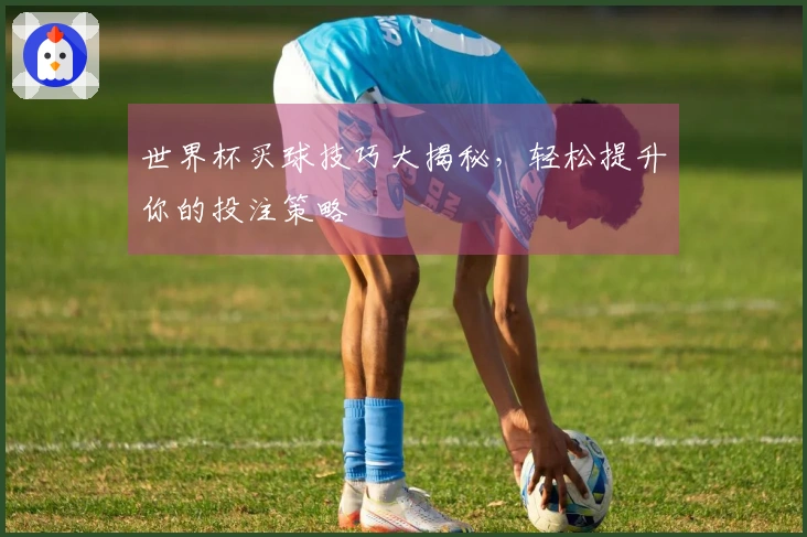 世界杯买球技巧大揭秘，轻松提升你的投注策略