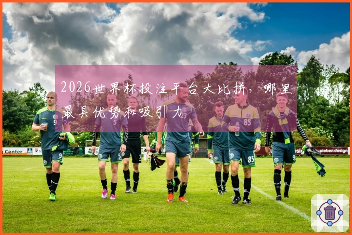 2026世界杯投注平台大比拼，哪里最具优势和吸引力