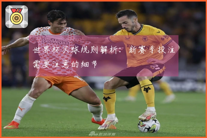 世界杯买球规则解析：新赛季投注需要注意的细节