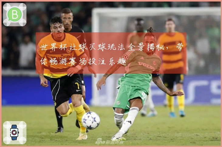 世界杯让球买球玩法全景揭秘，带你畅游赛场投注乐趣