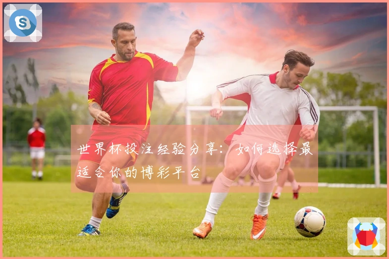 世界杯投注经验分享：如何选择最适合你的博彩平台