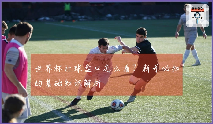 世界杯让球盘口怎么看？新手必知的基础知识解析