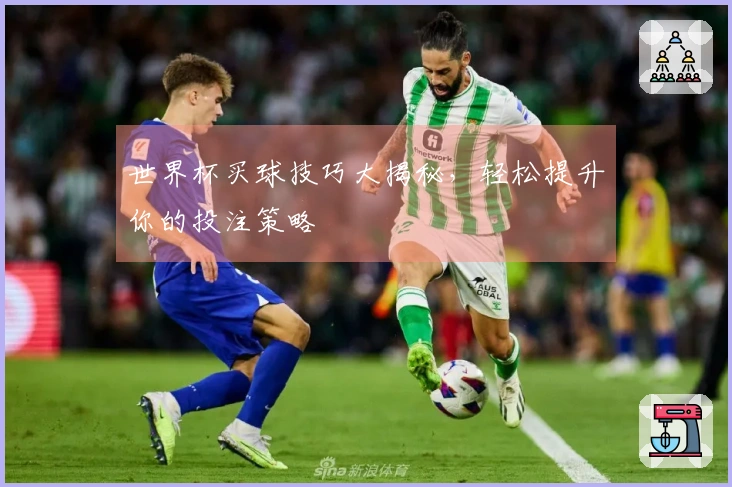 世界杯买球技巧大揭秘，轻松提升你的投注策略