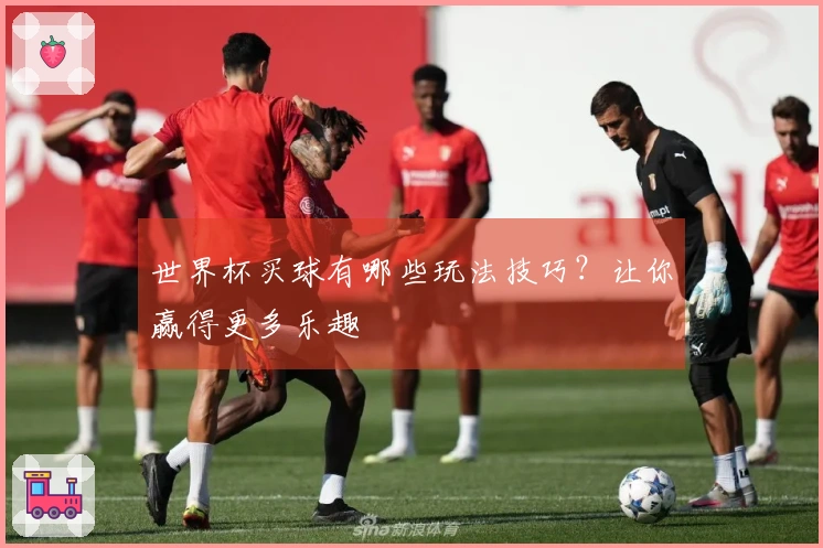 世界杯买球有哪些玩法技巧?让你赢得更多乐趣