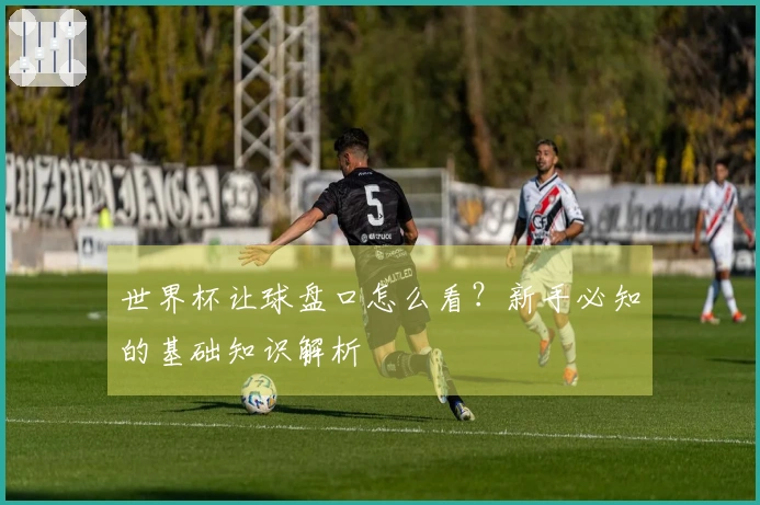 世界杯让球盘口怎么看？新手必知的基础知识解析