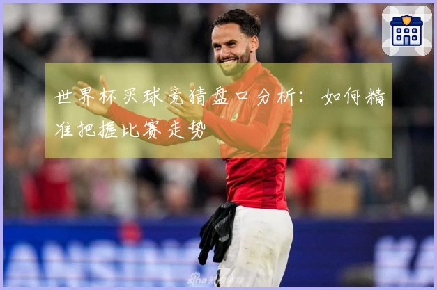 世界杯买球竞猜盘口分析：如何精准把握比赛走势