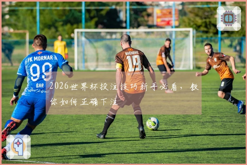 2026世界杯投注技巧新手必看，教你如何正确下注