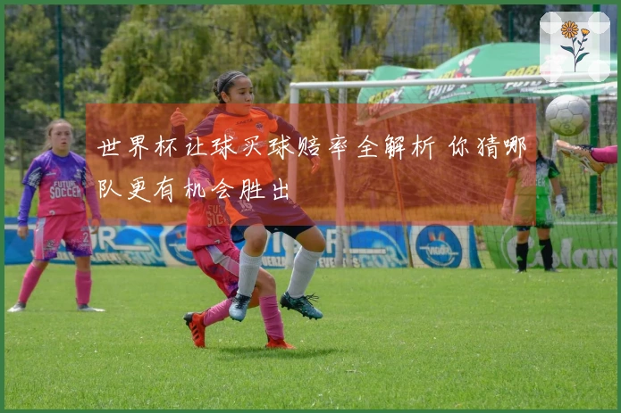 世界杯让球买球赔率全解析 你猜哪队更有机会胜出