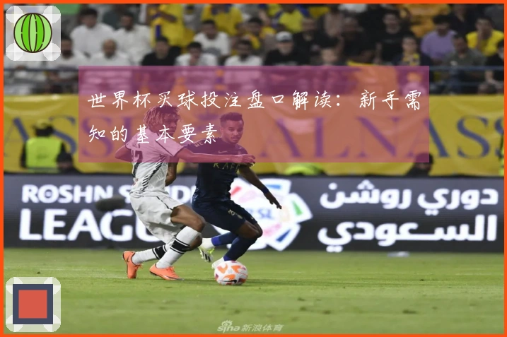 世界杯买球投注盘口解读：新手需知的基本要素