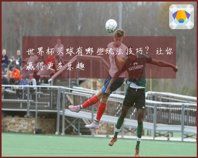 世界杯买球有哪些玩法技巧？让你赢得更多乐趣