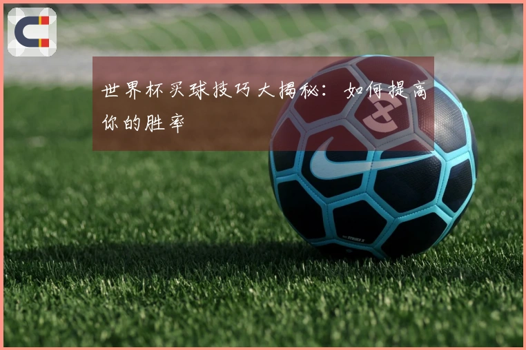 世界杯买球技巧大揭秘：如何提高你的胜率