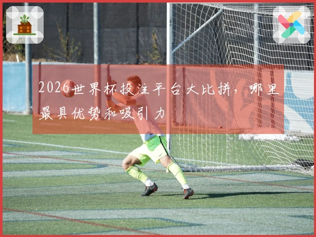 2026世界杯投注平台大比拼，哪里最具优势和吸引力