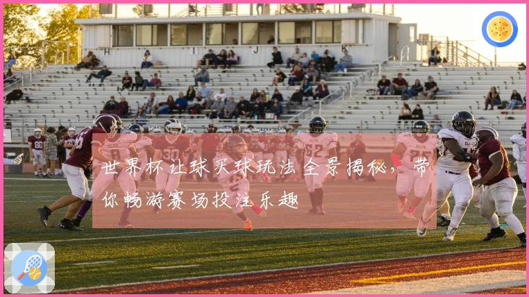 世界杯让球买球玩法全景揭秘，带你畅游赛场投注乐趣